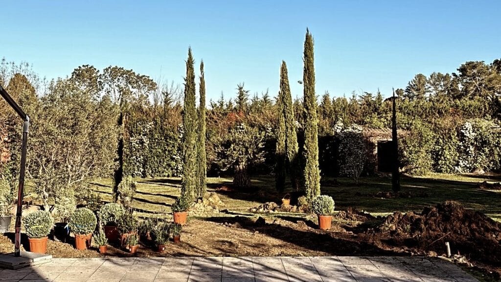 Aménagement de jardin avec cyprès élancés, plantes en pots sur terrasse et pelouse ensoleillée.